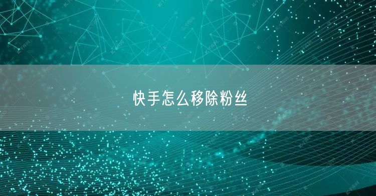 快手怎么移除粉丝