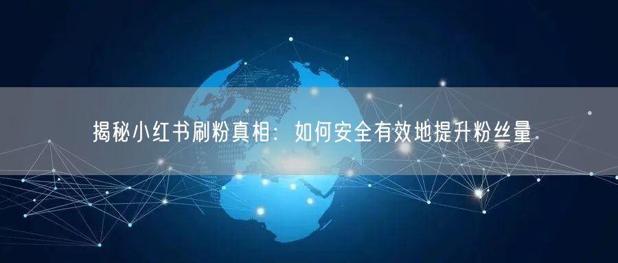 揭秘小红书刷粉真相：如何安全有效地提升粉丝量