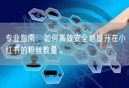 专业指南：如何高效安全地提升在小红书的粉丝数量。