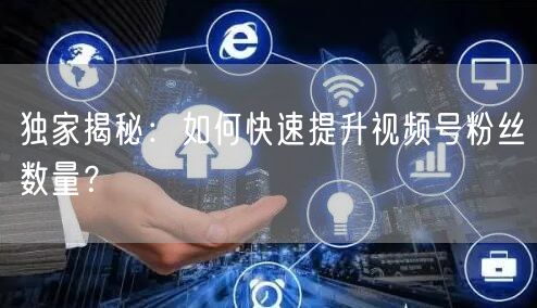 独家揭秘：如何快速提升视频号粉丝数量？