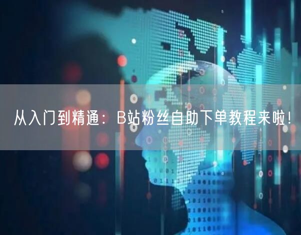 从入门到精通：B站粉丝自助下单教程来啦！