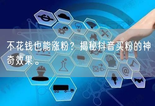 不花钱也能涨粉？揭秘抖音买粉的神奇效果。