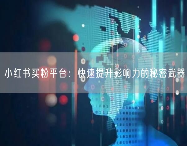 小红书买粉平台：快速提升影响力的秘密武器