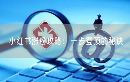 小红书涨粉攻略：一步登顶的秘诀