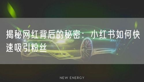 揭秘网红背后的秘密：小红书如何快速吸引粉丝