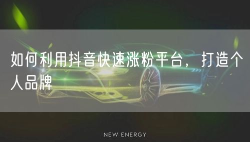 如何利用抖音快速涨粉平台，打造个人品牌