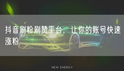 抖音刷粉刷赞平台，让你的账号快速涨粉