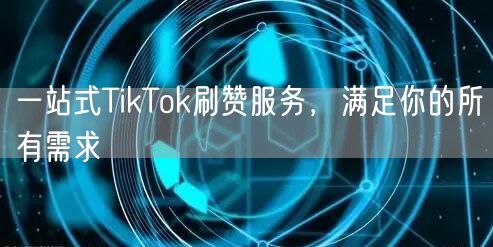 一站式TikTok刷赞服务，满足你的所有需求
