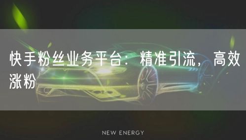 快手粉丝业务平台：精准引流，高效涨粉