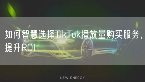 如何智慧选择TikTok播放量购买服务，提升ROI