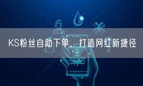 KS粉丝自助下单，打造网红新捷径