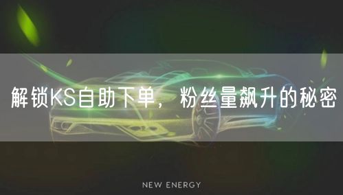 解锁KS自助下单，粉丝量飙升的秘密