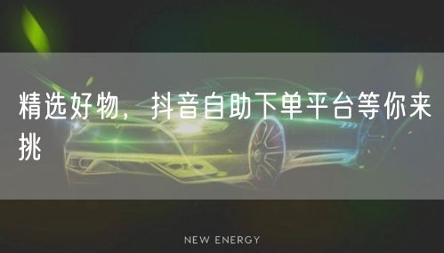 精选好物，抖音自助下单平台等你来挑