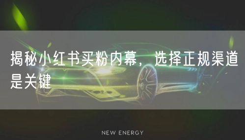 揭秘小红书买粉内幕，选择正规渠道是关键