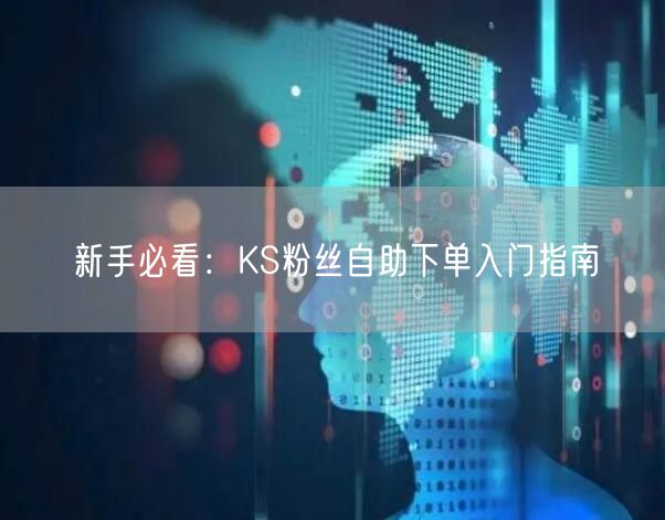 新手必看：KS粉丝自助下单入门指南