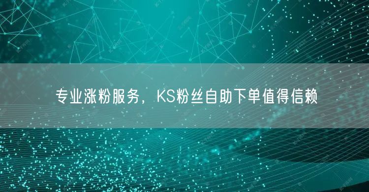 专业涨粉服务，KS粉丝自助下单值得信赖