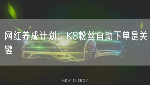 网红养成计划：KS粉丝自助下单是关键