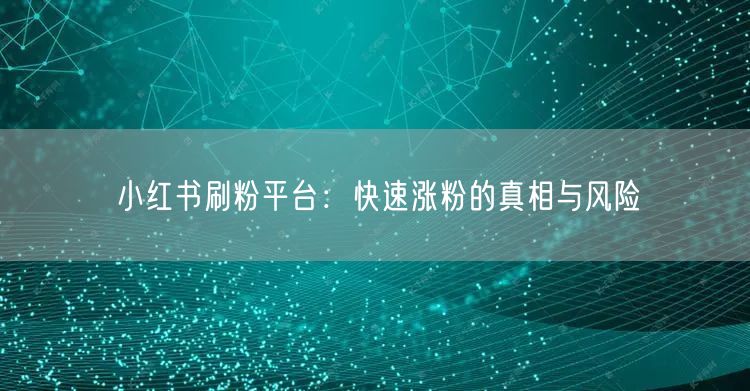 小红书刷粉平台：快速涨粉的真相与风险