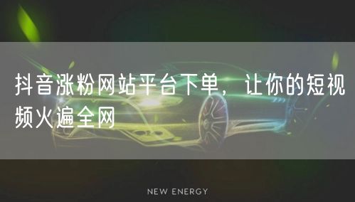 抖音涨粉网站平台下单，让你的短视频火遍全网