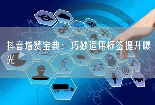抖音增赞宝典：巧妙运用标签提升曝光