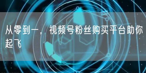 从零到一，视频号粉丝购买平台助你起飞