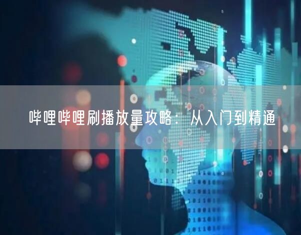 哔哩哔哩刷播放量攻略：从入门到精通