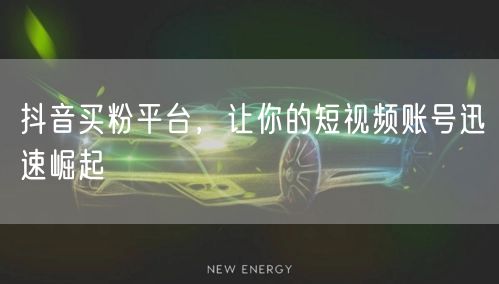 抖音买粉平台，让你的短视频账号迅速崛起