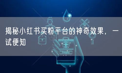 揭秘小红书买粉平台的神奇效果，一试便知