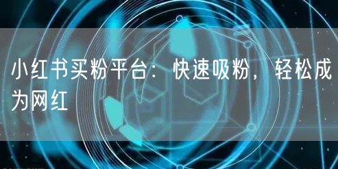 小红书买粉平台：快速吸粉，轻松成为网红