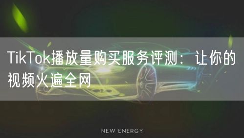 TikTok播放量购买服务评测：让你的视频火遍全网