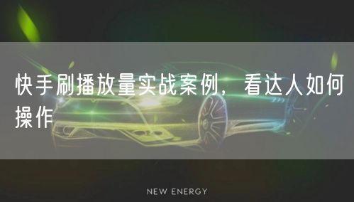 快手刷播放量实战案例，看达人如何操作