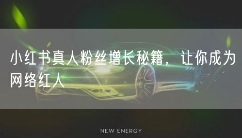 小红书真人粉丝增长秘籍，让你成为网络红人