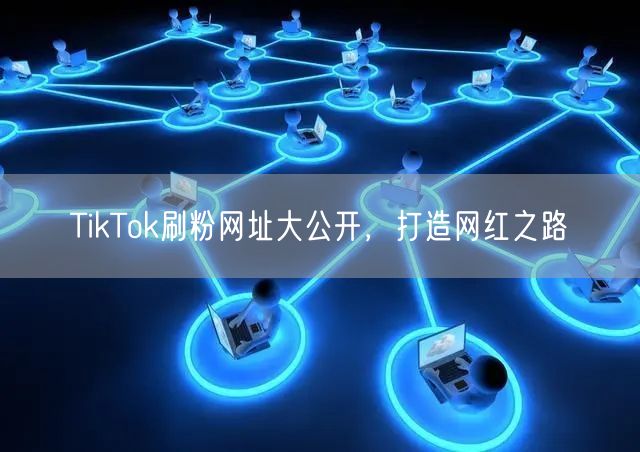 TikTok刷粉网址大公开，打造网红之路