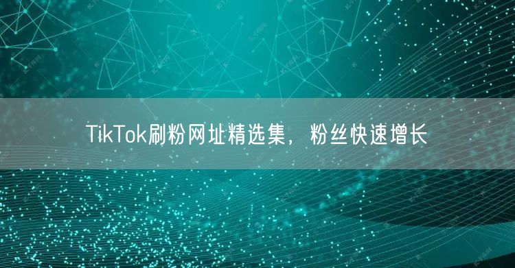 TikTok刷粉网址精选集，粉丝快速增长