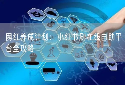 网红养成计划：小红书刷在线自助平台全攻略