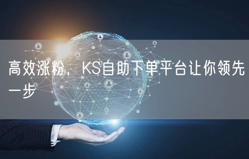 高效涨粉，KS自助下单平台让你领先一步