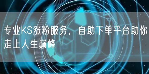 专业KS涨粉服务，自助下单平台助你走上人生巅峰