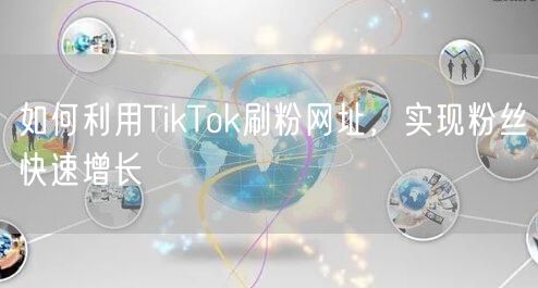 如何利用TikTok刷粉网址，实现粉丝快速增长