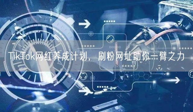 TikTok网红养成计划，刷粉网址助你一臂之力
