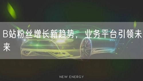 B站粉丝增长新趋势，业务平台引领未来