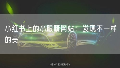 小红书上的小眼睛网站：发现不一样的美