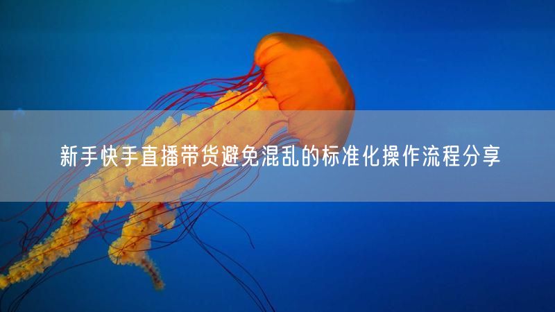 新手快手直播带货避免混乱的标准化操作流程分享
