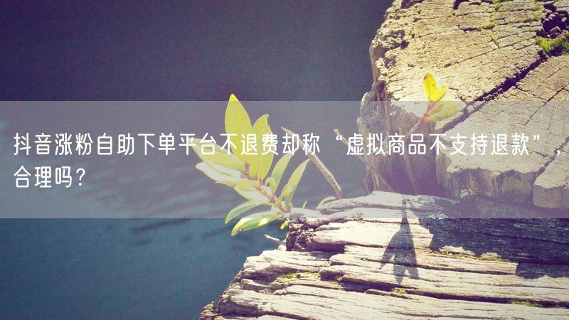 抖音涨粉自助下单平台不退费却称“虚拟商品不支持退款”，合理吗？