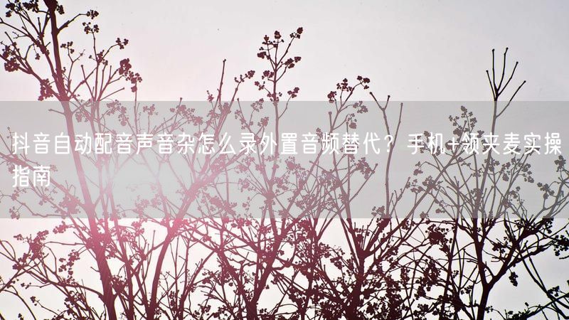 抖音自动配音声音杂怎么录外置音频替代？手机+领夹麦实操指南