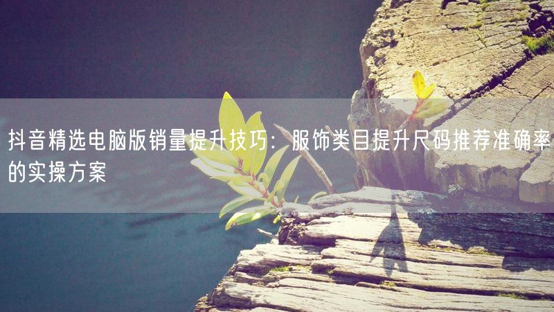 抖音精选电脑版销量提升技巧：服饰类目提升尺码推荐准确率的实操方案