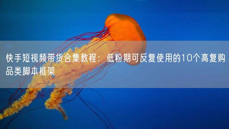 快手短视频带货合集教程：低粉期可反复使用的10个高复购品类脚本框架
