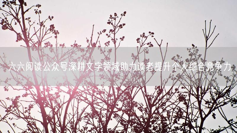 六六阅读公众号深耕文字领域助力读者提升个人综合竞争力