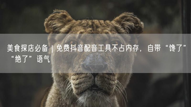 美食探店必备｜免费抖音配音工具不占内存，自带“馋了”“绝了”语气