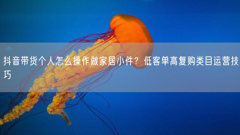 抖音带货个人怎么操作做家居小件？低客单高复购类目运营技巧