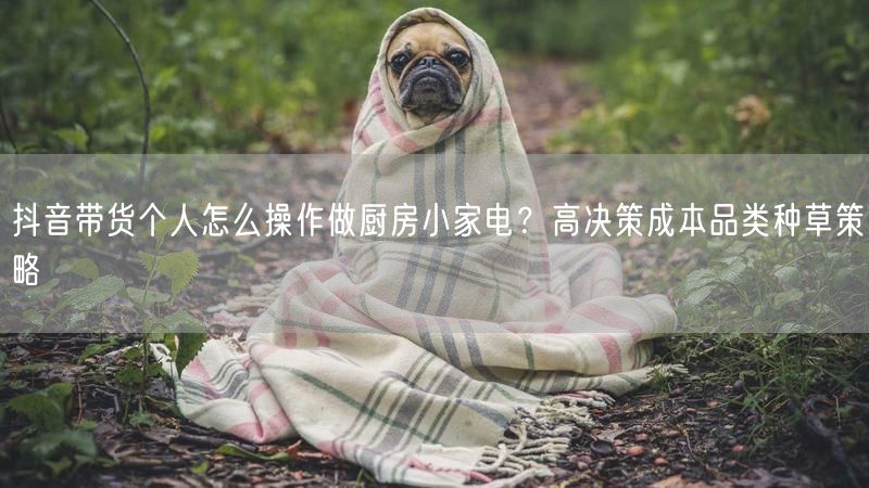 抖音带货个人怎么操作做厨房小家电？高决策成本品类种草策略